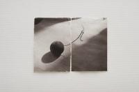 Analog Photograph, Uv Print on Handmade Kozo Paper | DER GREIF