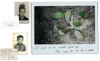 From the series "Maria, una historia de amor" | DER GREIF