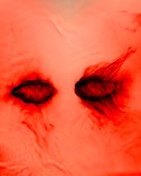 Watery Eyes | DER GREIF