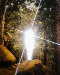 The Sacred Seeds in Poets' Souls. | DER GREIF