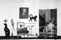 From the series "The Feral Cat Friend of the Desert Fox" | DER GREIF