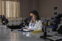 Ms Sunita Baral examines dengue vector mosquitoes under a microscope at the NHRC laboratory. | DER GREIF