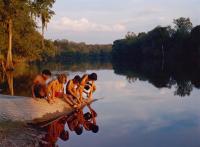 "Pool", 2025 | DER GREIF