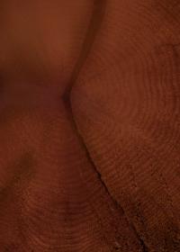From the series "Raízhambre" | DER GREIF