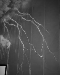 "A Twig of Lightning" | DER GREIF