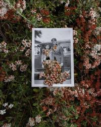 "Akuuragna/Pasadena, Huntington Library Parking Lot, (California Buckwheat)", 2021 | DER GREIF
