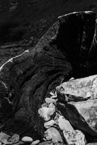 Michael Tiedke, "Burnt Trunk", Penarth Marina, 2023. | DER GREIF