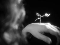 "Hand" | DER GREIF