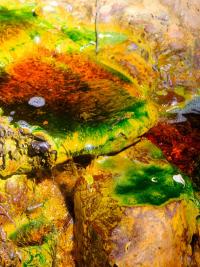 From the series "flux", Geamana, Alba region, Romania, 2025 | DER GREIF