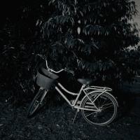 "My Summer" | DER GREIF