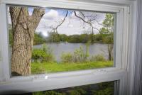 From the series "Craiglist" | DER GREIF