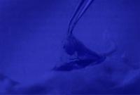 From the series "The Elephant's Foot" | DER GREIF