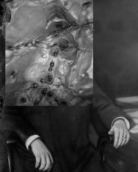 "McKinley" | DER GREIF