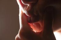 From the Series "The Porcupines and other stories of Intimacy" | DER GREIF