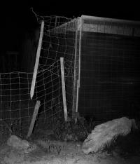 Untitled | DER GREIF