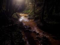 From the series "flux", Geamana, Alba region, Romania, 2025 | DER GREIF