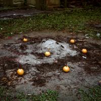 The Offering. | DER GREIF