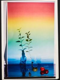 Let Your Eyes Dance | DER GREIF