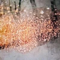 From the series "Escape Attempts", Rome, Italy | DER GREIF