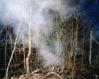 Image from "Probable Cause" | DER GREIF