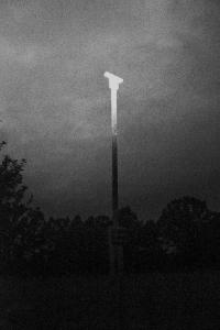 From the series "Während wir schlafen, ziehen Wölfe um die Häuser" Brandenburg, Germany, 2023 | DER GREIF