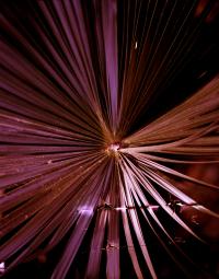 Ksenia Burnasheva (United Kingdom), Untitled | DER GREIF