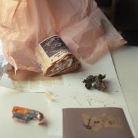 Untitled | DER GREIF