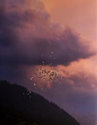 "Next Day" | DER GREIF