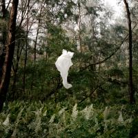 The consciousness of a thought. | DER GREIF