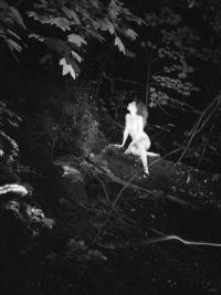 From the series "Mezzaluce" | DER GREIF