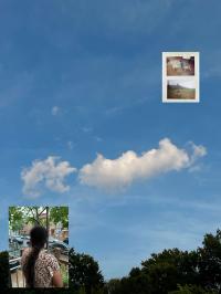 Catch me in the air | DER GREIF