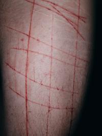 From the series "Mezzaluce" | DER GREIF
