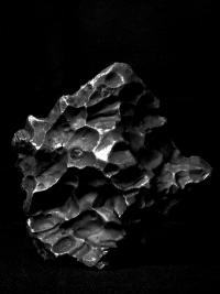 From the series "Presence" | DER GREIF