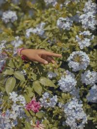 Diana Guerra, "Estoy tan circa" from the series "Suspended In Time" | DER GREIF