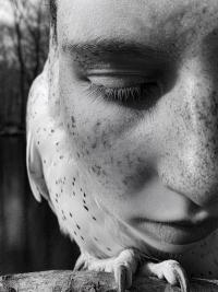 DER GREIF
