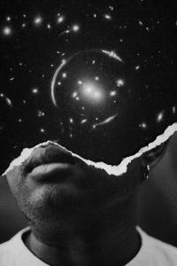 Untitled | DER GREIF