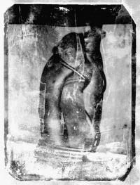 "Grappling" Johannesburg, South Africa, 2023 | DER GREIF