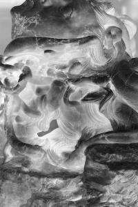 From the series "Ecos" | DER GREIF