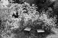 Untitled from "Breathing in 100000 km breathing out" | DER GREIF