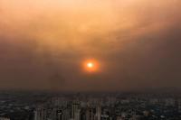 From the series "Forest Ruins", São Paulo, Brazil, 2025 | DER GREIF