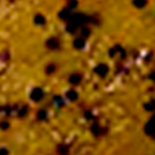 Color option