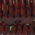 Color option