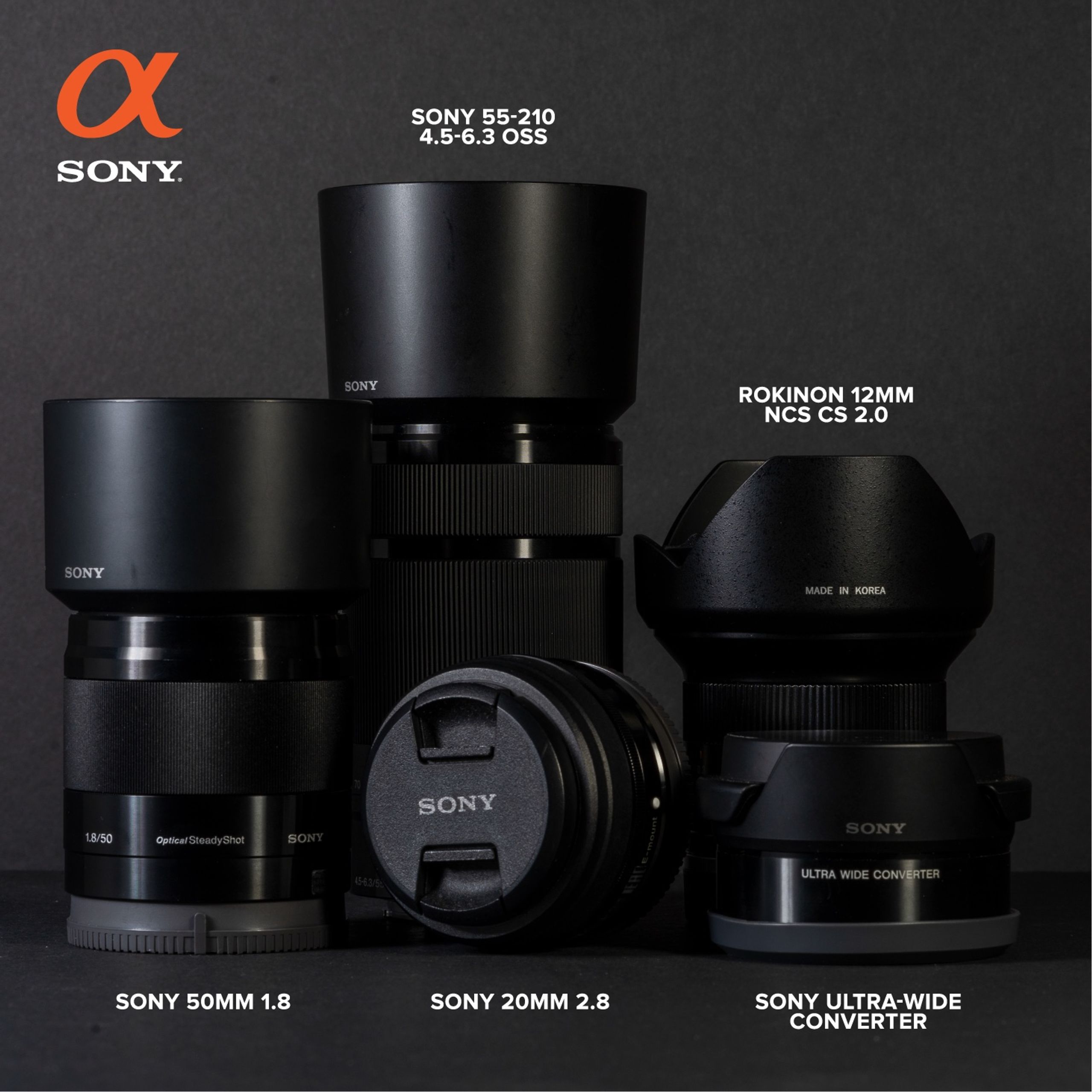 Four lenses lined up and labelled — Sony 50mm, 20mm, 55-210mm, and a Rokinon 12mm