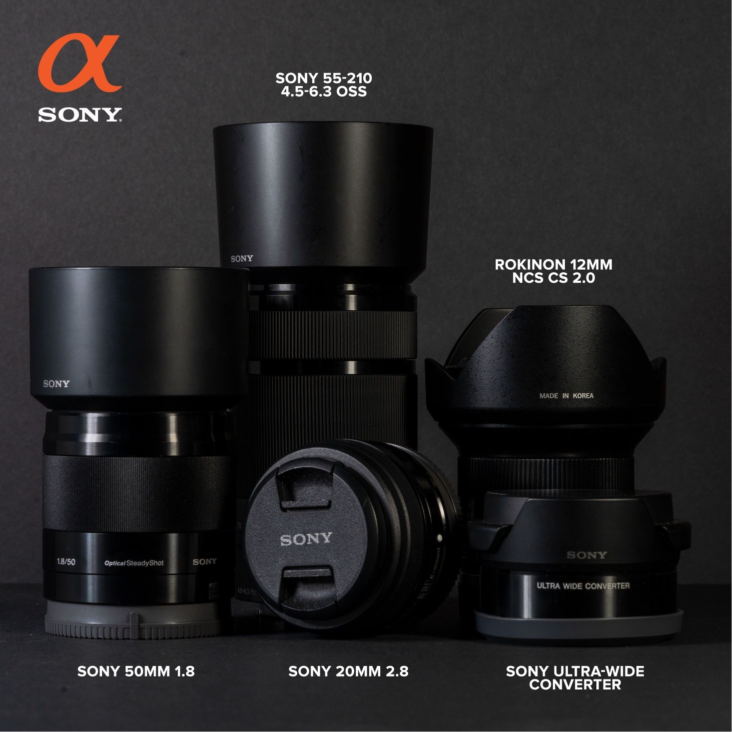 Four lenses lined up and labelled — Sony 50mm, 20mm, 55-210mm, and a Rokinon 12mm