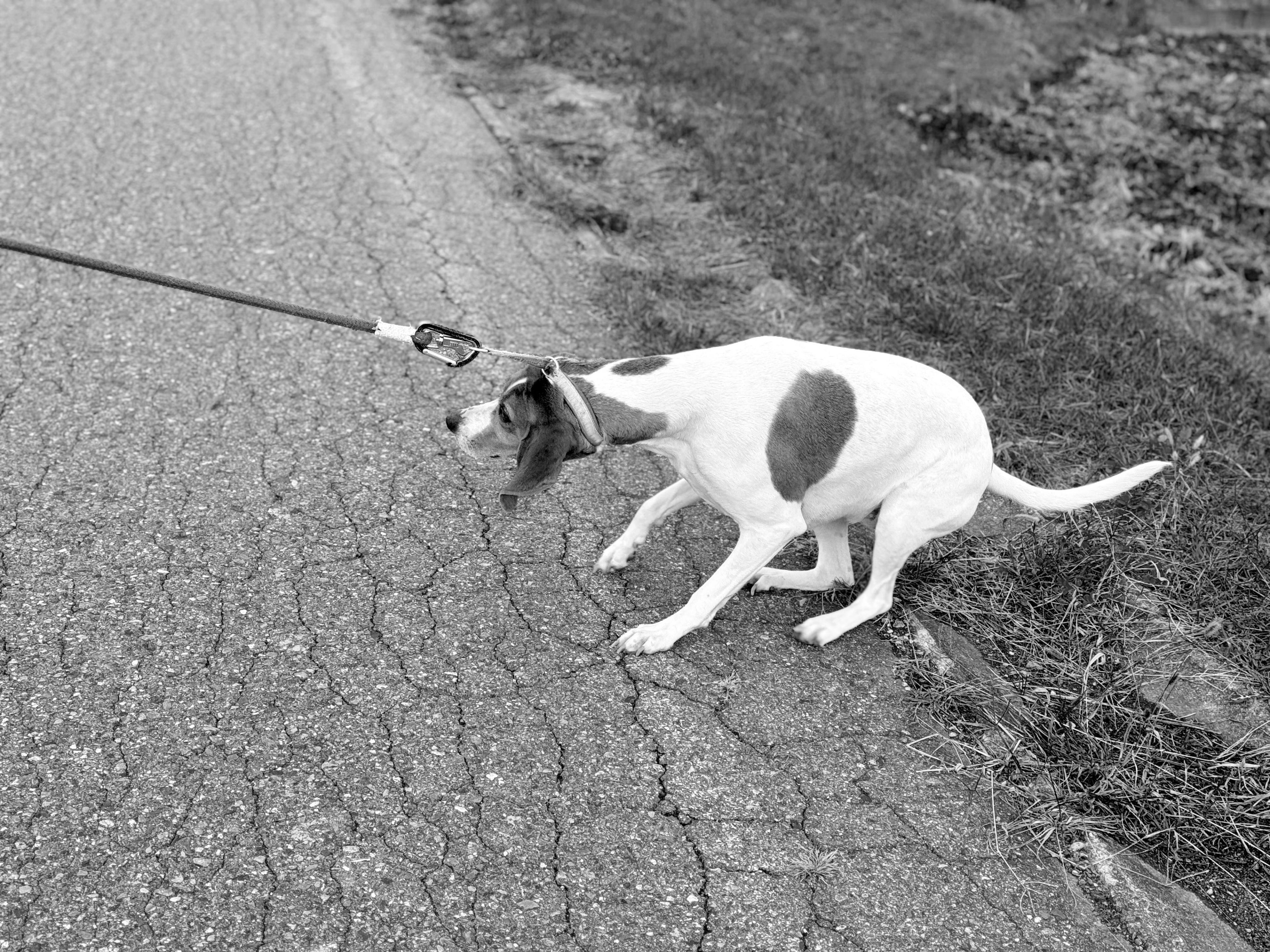 No More/Not Yet  — Getting Unstuck  From the Messy  Middle