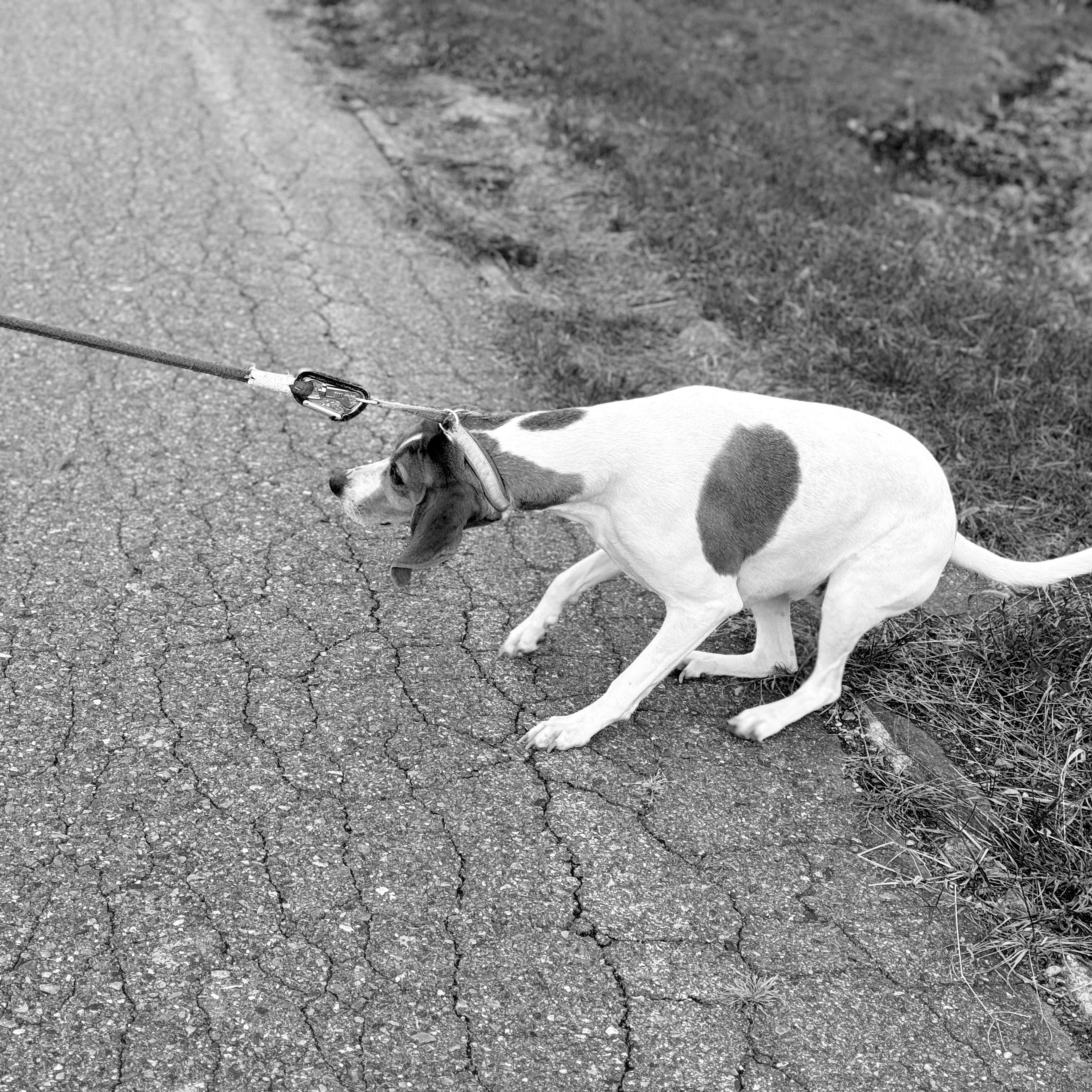 No More/Not Yet
— Getting Unstuck
From the Messy
Middle