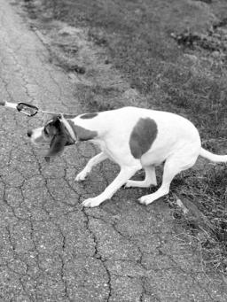 No More/Not Yet
— Getting Unstuck
From the Messy
Middle