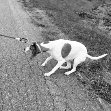 No More/Not Yet
— Getting Unstuck
From the Messy
Middle