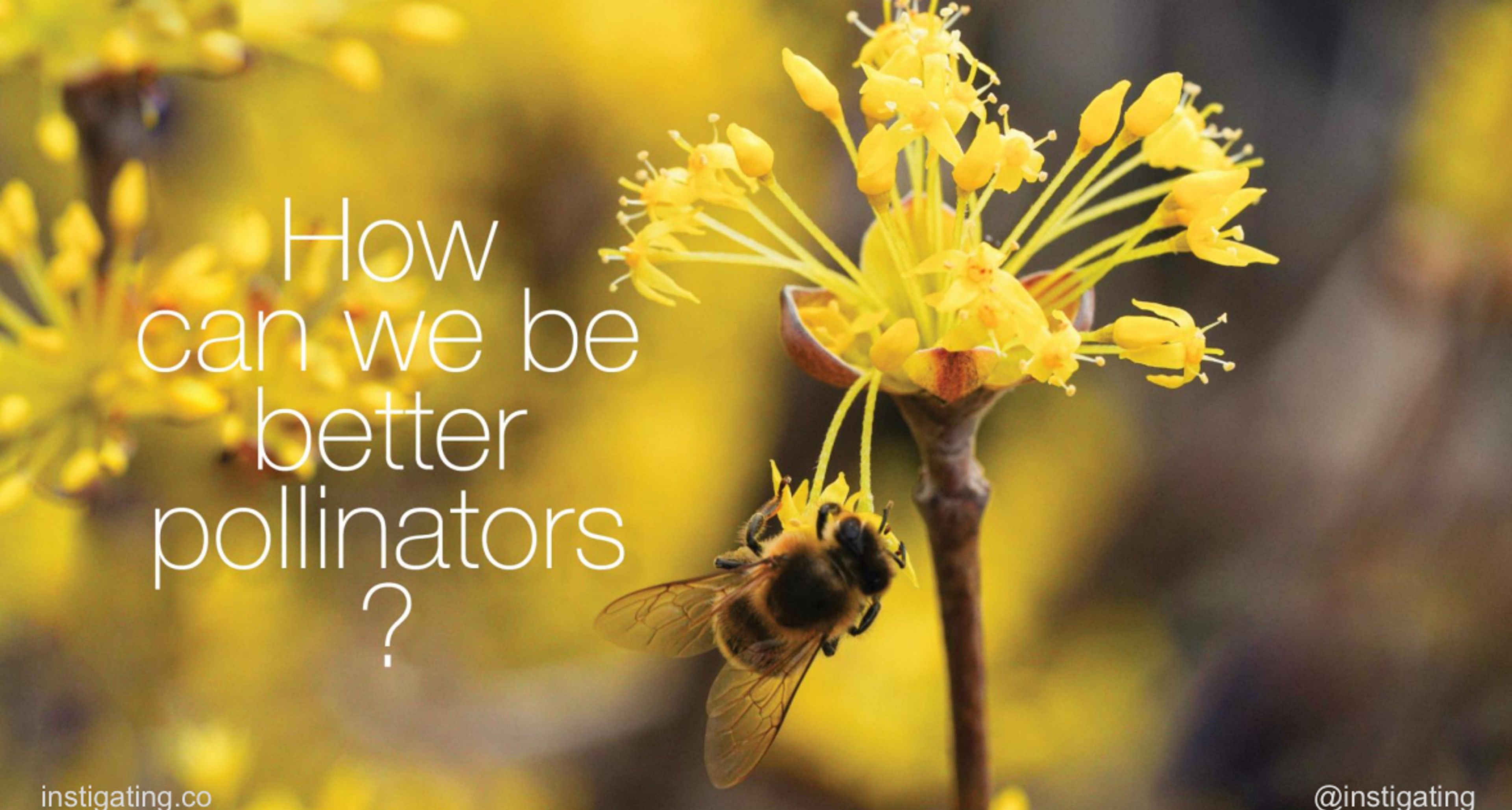 Squinting toward the future with Lloyd's