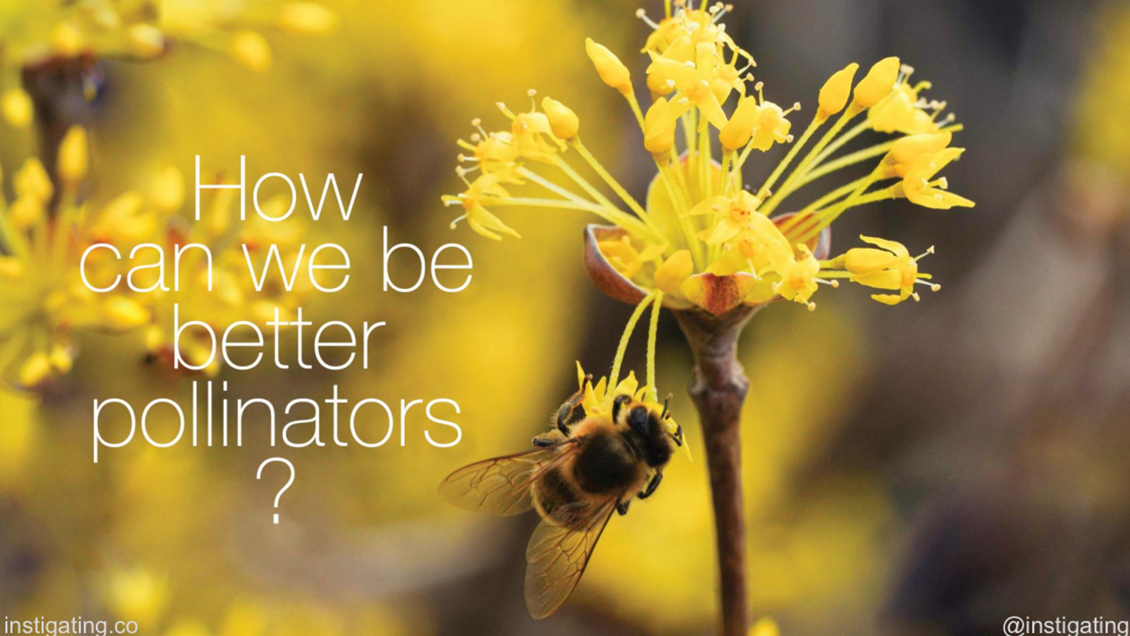 Squinting toward the future with Lloyd's